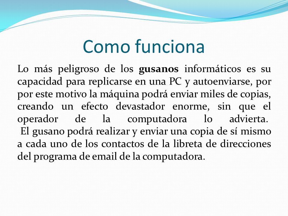gusano informático como funciona gusano informático como funciona